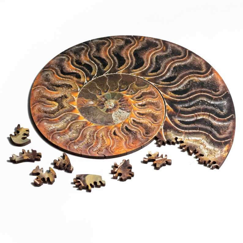 Ammonite Fossil Puzzle: Laser Cut Birch, Spiral Jigsaw