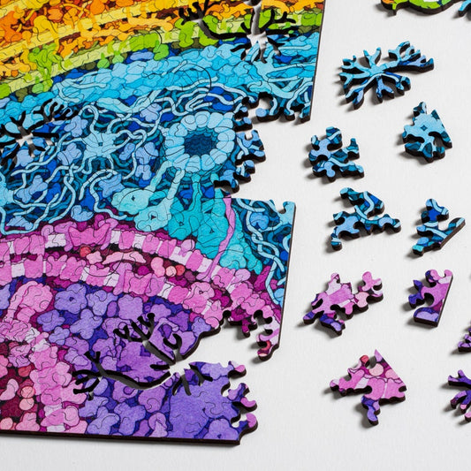 Neuron Puzzle - wooden biology and brain themed jigsaw puzzle