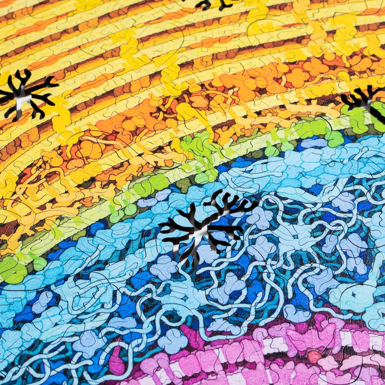 Neuron Puzzle - wooden biology and brain themed jigsaw puzzle