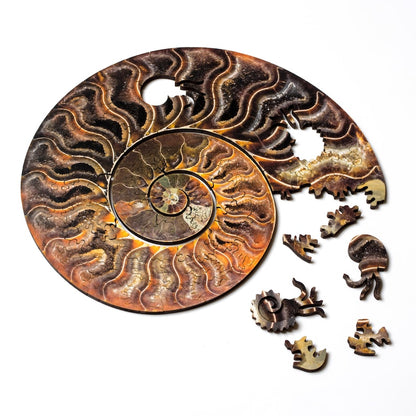 Ammonite Fossil Puzzle: Laser Cut Birch, Spiral Jigsaw