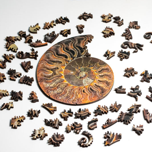 Ammonite Fossil Puzzle: Laser Cut Birch, Spiral Jigsaw