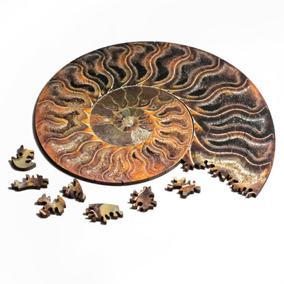 Ammonite Fossil Puzzle: Laser Cut Birch, Spiral Jigsaw