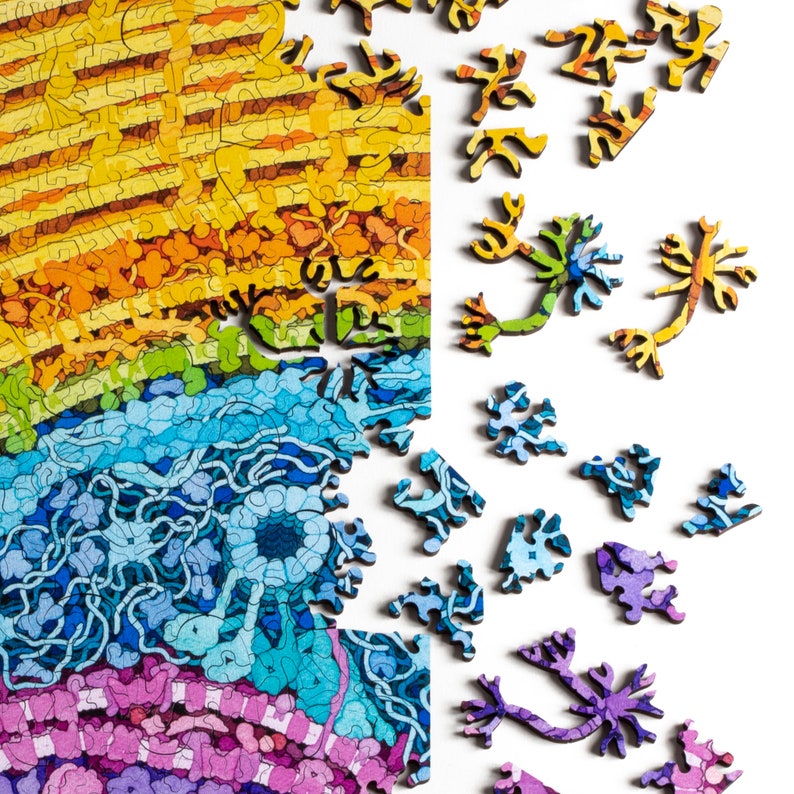 Neuron Puzzle - wooden biology and brain themed jigsaw puzzle