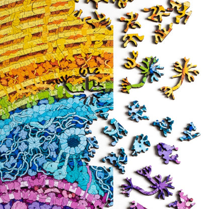 Neuron Puzzle - wooden biology and brain themed jigsaw puzzle