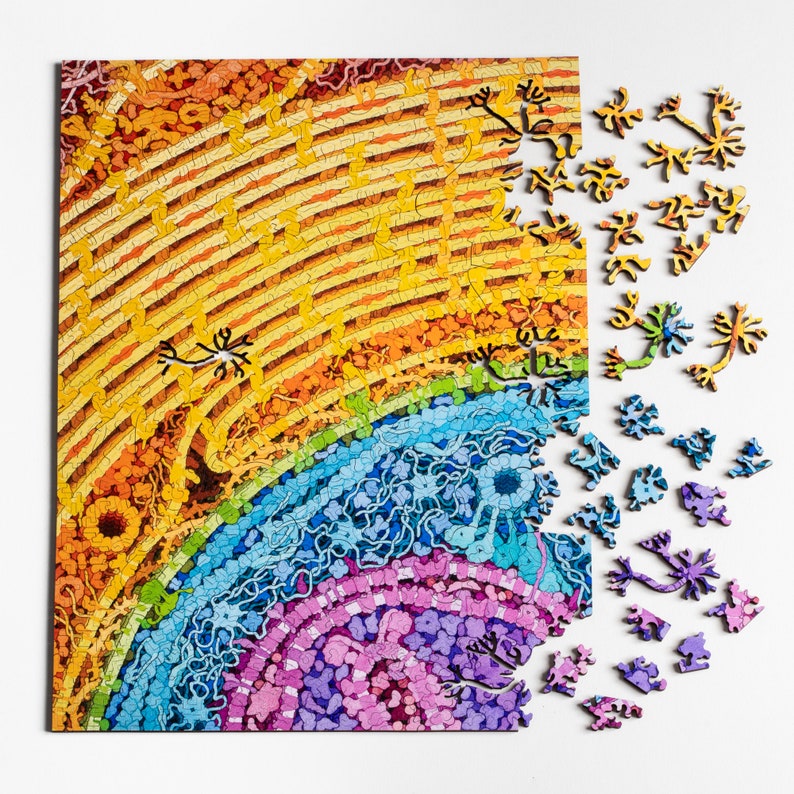 Neuron Puzzle - wooden biology and brain themed jigsaw puzzle
