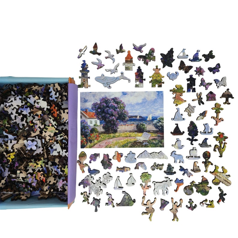 Wooden Jigsaw Puzzles for Adults - Uniquely Shaped Pieces - made in the USA by FoxSmartBox - 434 Pieces - Coast Landscape